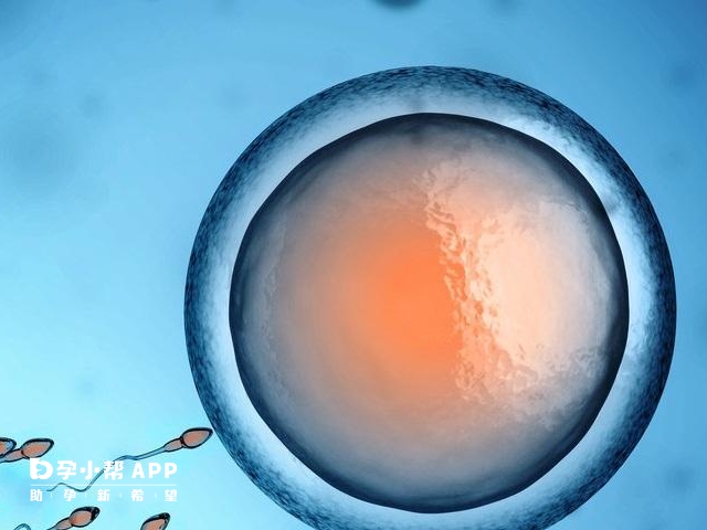 做试管有只有1个卵泡成功的案例